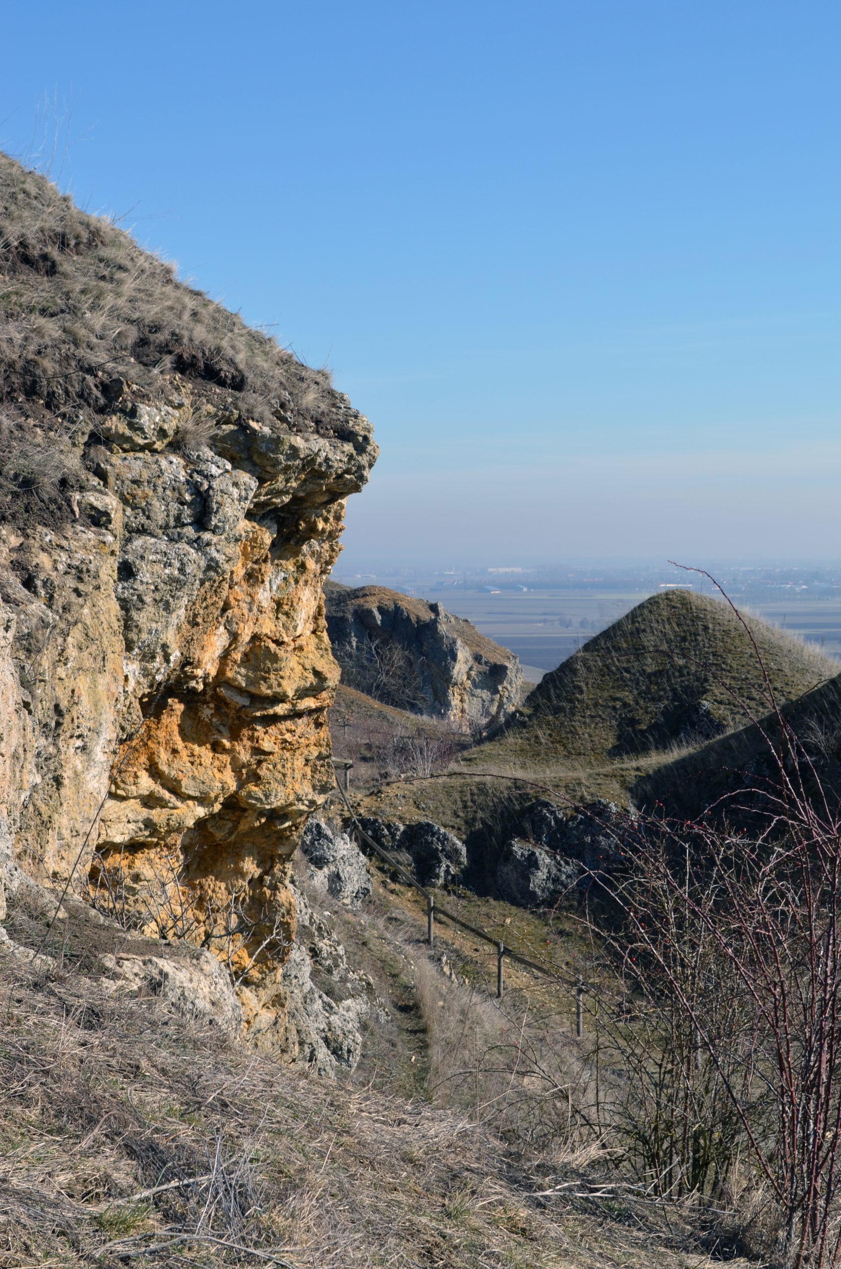 Goldberg revisited LMWBlog