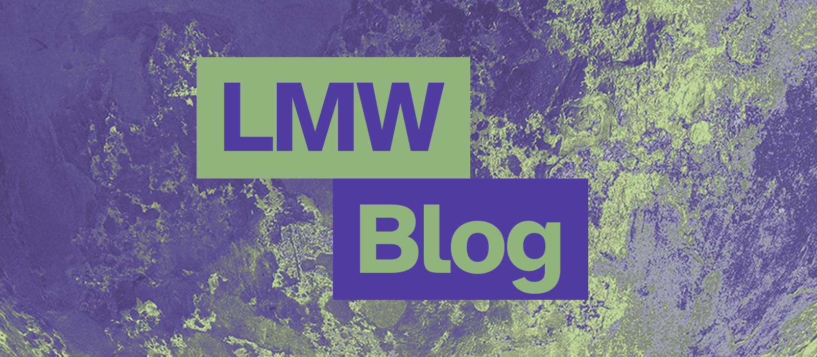 LMW-Blog