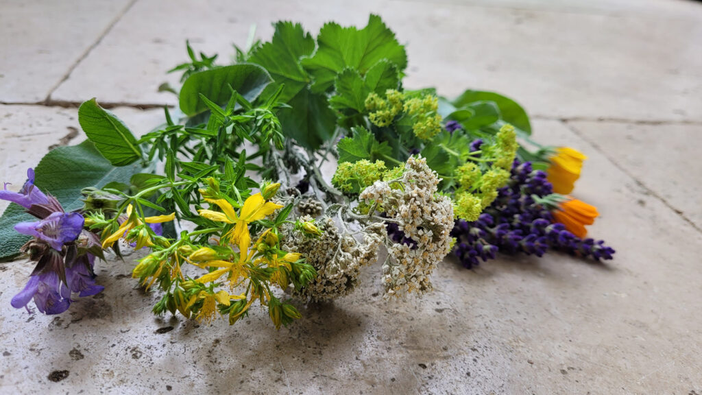 Verschiedene Blumen für einen Strauß liegend.