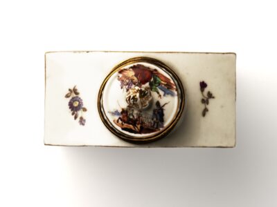 Weiße Teedose mit Deckel mit kleinen Malereien von Blumen und Pflanzen.