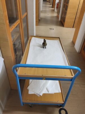 Das Aquamanile auf einem Schiebetisch im Depot.
